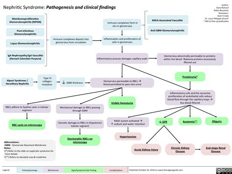 Nephrotic syndrome and glomerulonephritis
