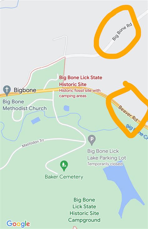 Big Bone Lick Park Beaver