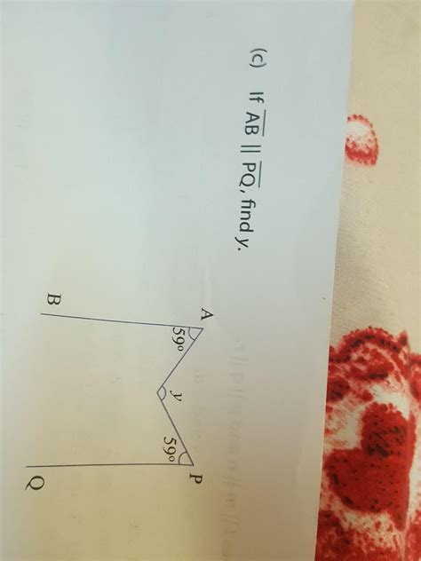 please answer this question i beg you with full steps - Brainly.in