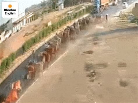 Honda Civic jumps divider, triggers triple collision in Gandhinagar ...