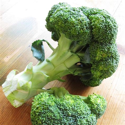 Broccoli 'Calabrese' (Brassica oleracea) - approx. 50 organic seeds