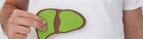 Understanding Normal Liver Size: Key Insights | Dr. Vaidya's – Dr Vaidya's