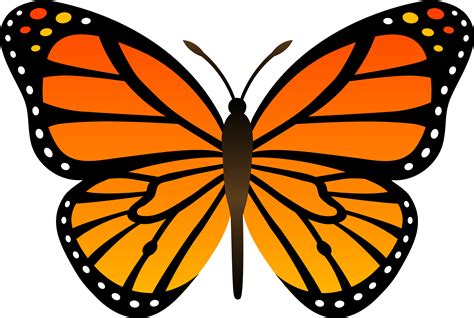 Cartoon Monarch Butterfly | Free Download Clip Art | Free Clip Art | on ...