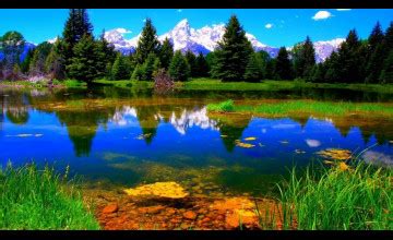 Image result for Colorado O2 Sensor Bank One