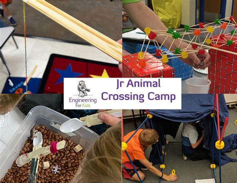 Jr Animal Crossing Engineering Camp K-3 Plymouth, Plymouth Community ...