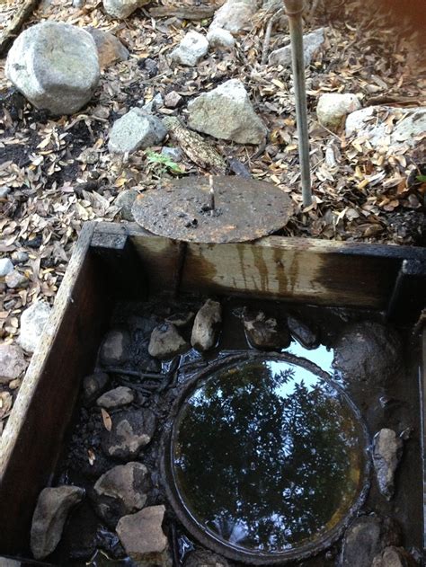 Image result for Setting Up a Water Spring Box