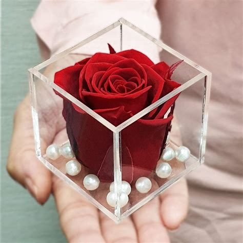 Giftcart Real Preserved Forever Rose Red | Long Lasting Flower (2-4 ...
