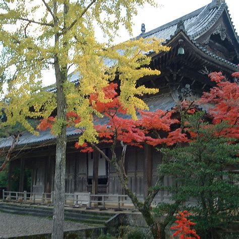 Tokoji Temple, Hagi - Tripadvisor
