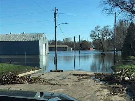 Psychological First Aid, January 23 2024 | Online Event | AllEvents.in