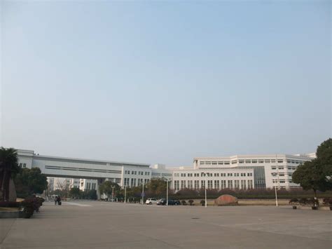 单而芳-上海大学管理学院