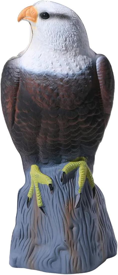 Buy KKY Plastic Fake Eagle Hawk Statue Scarecrow, Fake Bald Eagle is ...