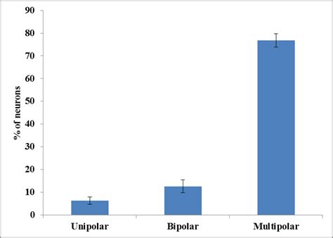 Image result for Prefrontal Cortex Mouse Brain