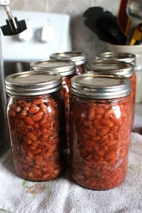 Canning String Beans Recipe 的图像结果