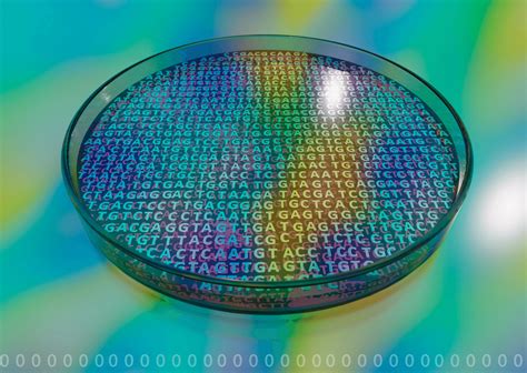 Genetics Engineering Projects 的图像结果