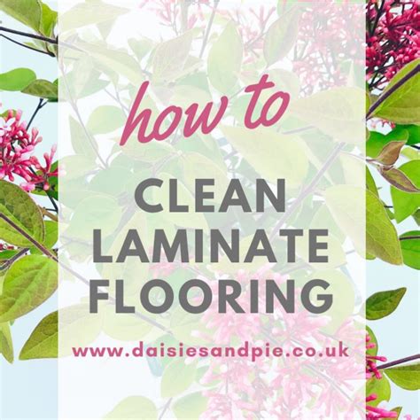 Image result for How to Clean Washing Machine Drawer Mould