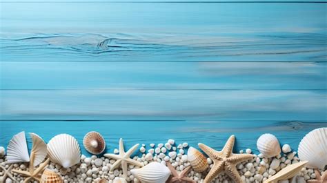 Image result for Sea Shells Beach Scenes