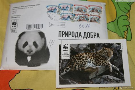 Всемирный фонд дикой природы www.wwf.ru - «Невероятно дружелюбный фонд ...