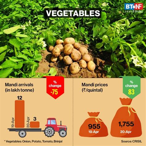 Labour & logistics issues leave farmers in despair - BT NewsFlicks ...