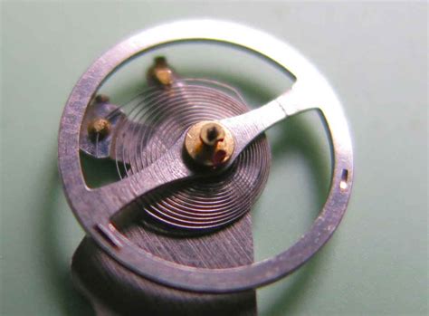 Image result for Balance Springwatch