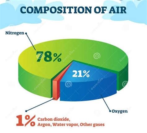 Label the diagram. 78% 21% 19 - Brainly.in