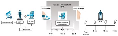 Kinetic Responses to Acute Blood Flow Restriction Exposure in Young ...