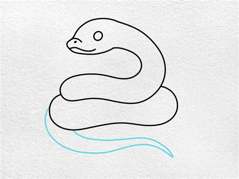 Hognose Snake Drawing - HelloArtsy