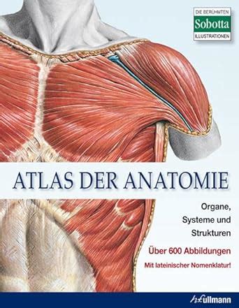 Amazon.in: Buy Atlas der Anatomie: Organe, Systeme und Strukturen. Mit ...