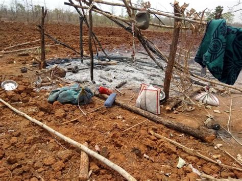 MP Forest Official Burnt Down Mudhouse, Threatened to Burn More ...