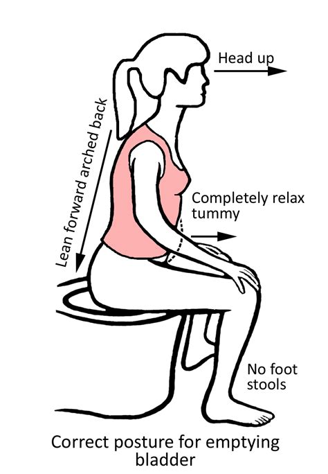 Analogies, Metaphors And How To Keep Pelvic Health Simple | Pelvic ...