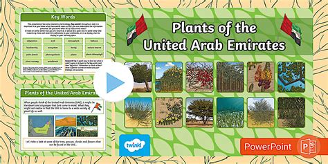 UAE Plants - PowerPoint Presentation