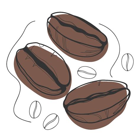 Arabica Coffee: The World's Premium Coffee Species | Guide