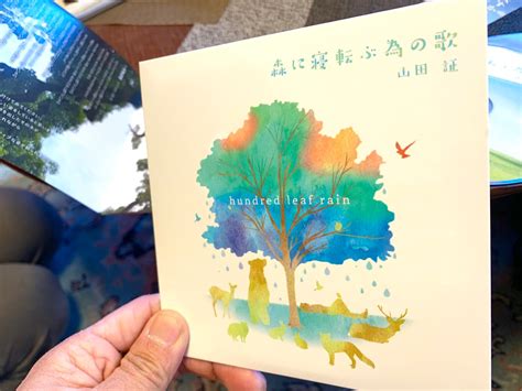 【音楽アルバム】森に寝転ぶ為の歌〜hundred leaf rain（送料込） | みちくさ caribou
