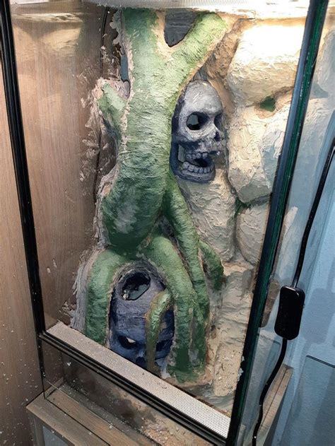 Image result for Python Snake Terrarium