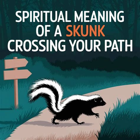 The Spiritual Meaning Of A Skunk Crossing Your Path