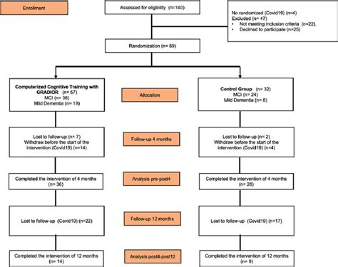 Image result for Randomization Process