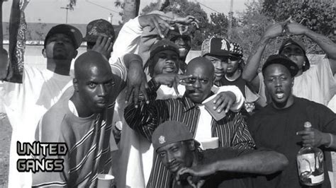 Image result for Crip Stack