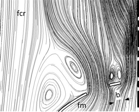 Image result for Path Line