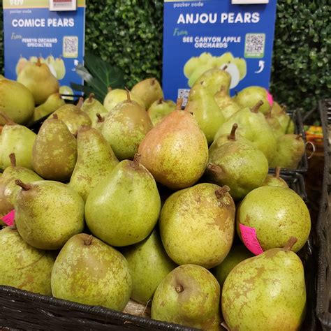 Anjou Pears Information, Recipes and Facts