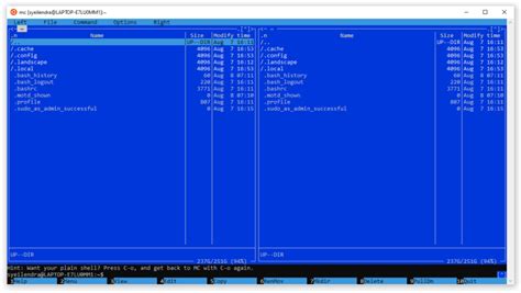 Image result for Open Ubuntu WSL Desktop Using Windows X