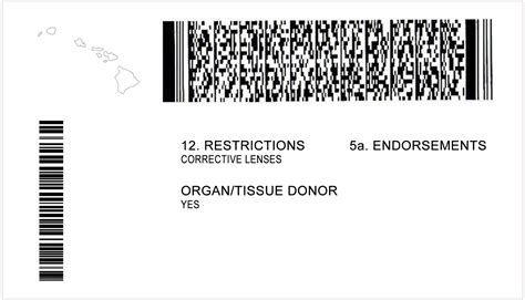 Image result for Drivers License Back Barcode