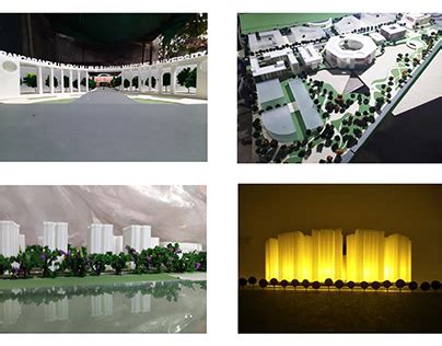 Working Model Projects 的图像结果