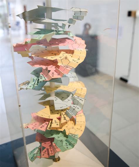 Model Paper Science 的图像结果