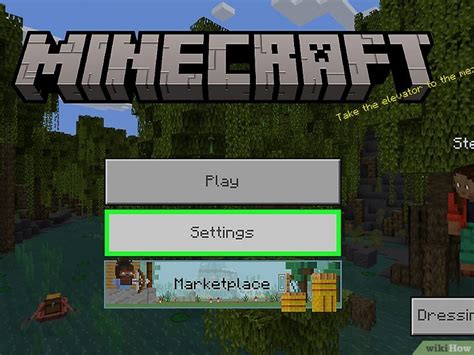 Image result for How to Turn Off Player Names in Minecraft Java