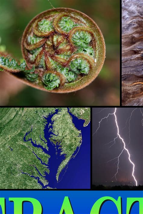 Image result for Math Nature