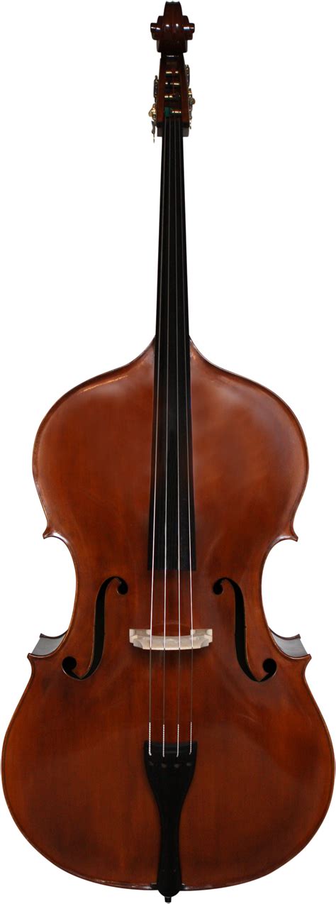 Orchestral Double Bass for sale - AUSTA