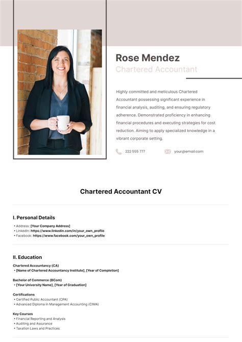 Free Chartered Accountant CV Template to Edit Online