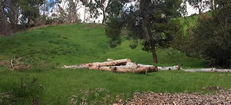 Limekiln Canyon Trail: North, California - 2,420 Reviews, Map | AllTrails