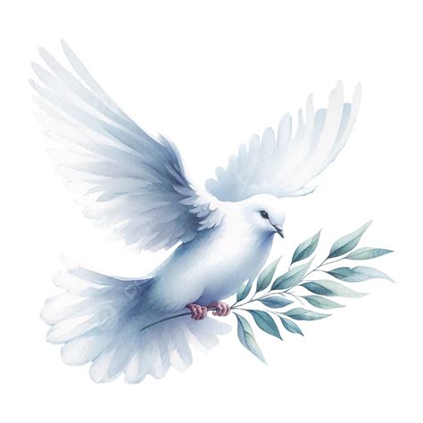 Peace Dove White Dove Olive Branch Illustration, Peace Dove, White Dove ...