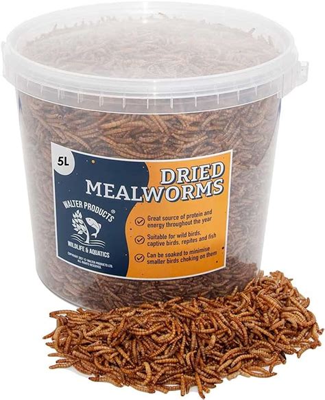 Walter’s Meal Worms (5L - 1.1kg) - Dried Mealworms f | Ubuy India