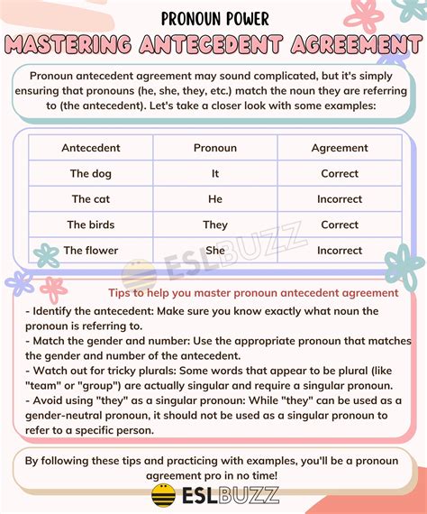 Pronoun Antecedent Agreement: A Must-Know Guide for English Learners ...